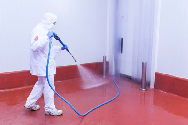 Best Roof Washing  in Foothill Farms, CA